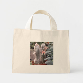 Bolsa Tote Mini Saco de Presente de Cacto