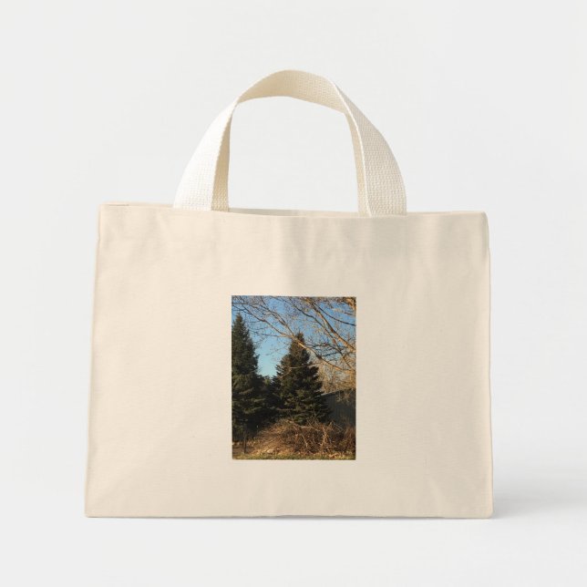 Bolsa Tote Mini saco de primavera (Frente)