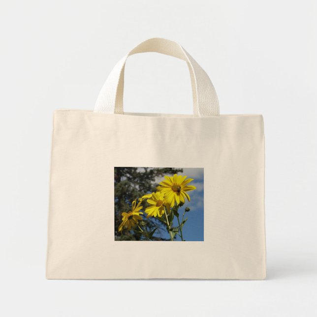 Bolsa Tote Mini saco de solha (Frente)