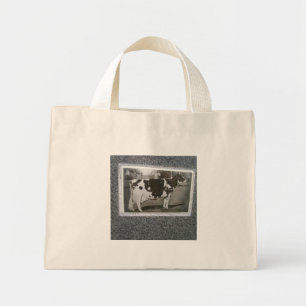 Bolsa Tote Mini Saco de Vaca