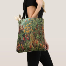 Muscinae Antigos, Plantas de Musgo por Ernst Haeck