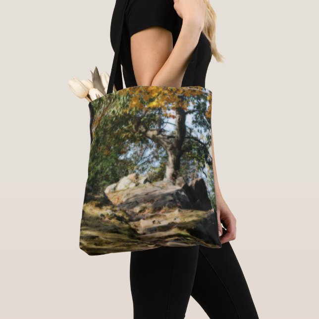 Bolsa Tote Natureza do Caminho das Florestas Pacíficas (Close Up)
