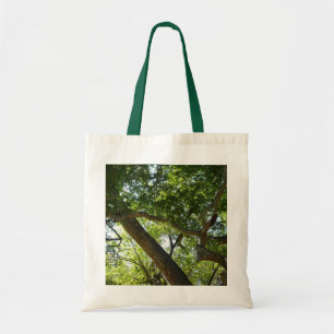 Bolsa Tote Natureza Verde da Árvore Sycamore