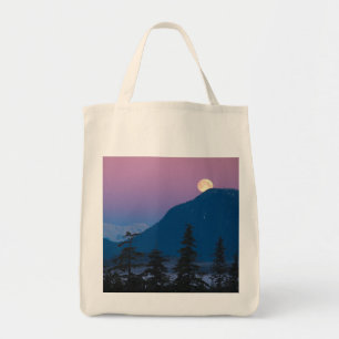 Bolsa Tote Noite no Alasca