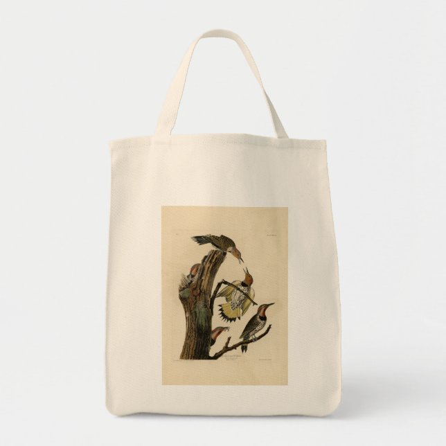 Bolsa Tote Norther Flicker das Aves da América de Audubon (Frente)