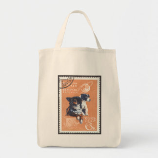 Bolsa Tote O espaço do russo persegue o cosmos 1966 110