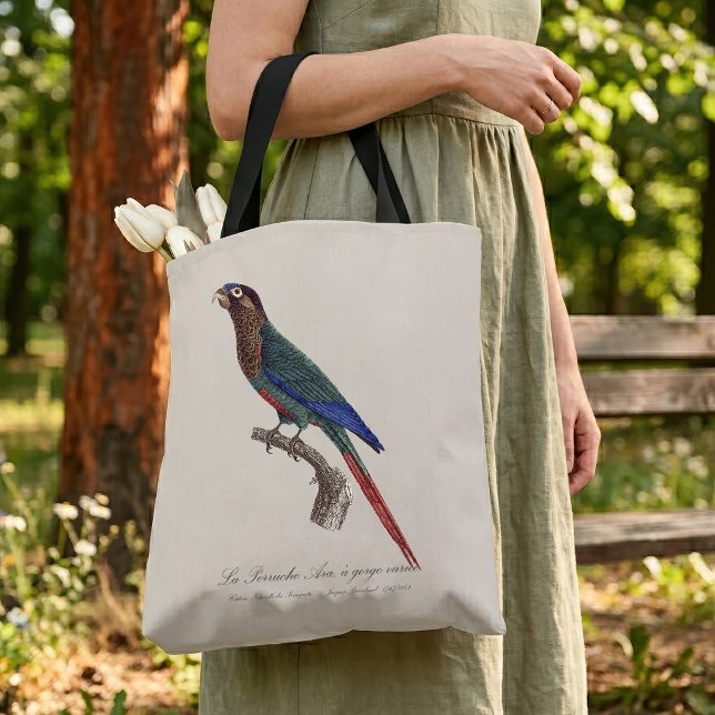 Bolsa Tote O periquito-pintado, Pyrrhura Picta (The Painted Parakeet, Pyrrhura Picta. Tote Bag)