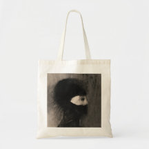 Odilon Redon. Armadura. Cara de mulher escura. Sim