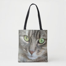 Olhos Esmeralda – Retrato de um Gato de Olhos Verd