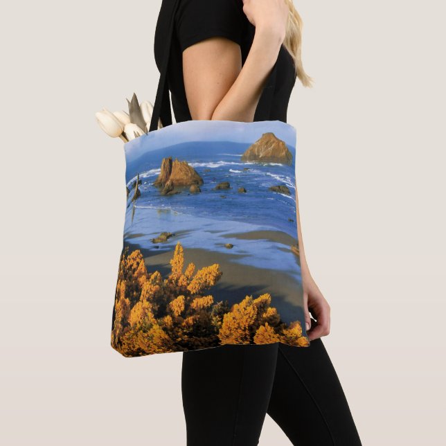 Bolsa Tote Oregon Beach View Em Bandon (Close Up)