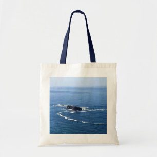 Bolsa Tote Otter Rock, Cape Foulweather, Newport, Oregon