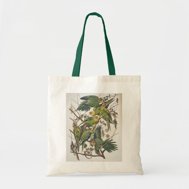 Bolsa Tote Parakeet de Carolina, dos "pássaros de América", (Frente)