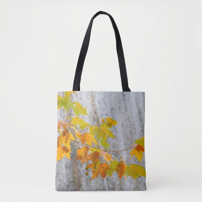 Bolsa Tote Parque Natural del Monasterio - folhas da queda (Frente)