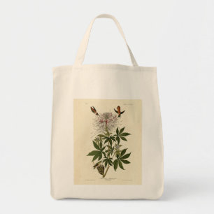 Bolsa Tote Pássaro-do-mato-rô, Aves de Audubon da América