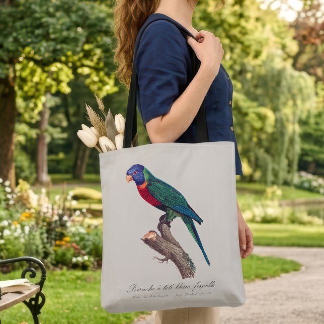 Bolsa Tote Periquito-arco-íris fêmea, Trichoglossus moluccanu (Perruche a tete bleue, femelle / Rainbow lorikeet, female. Tote Bag)