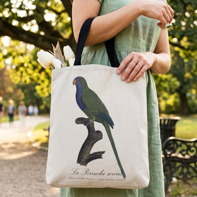 Bolsa Tote Periquito-rei ou Caira, Myiopsitta Monachus (Monk Parakeet or Monk Parrot, Myiopsitta Monachus. Tote Bag)