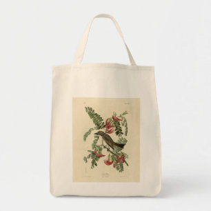 Bolsa Tote Piping Flycatcher das Aves da América de Audubon