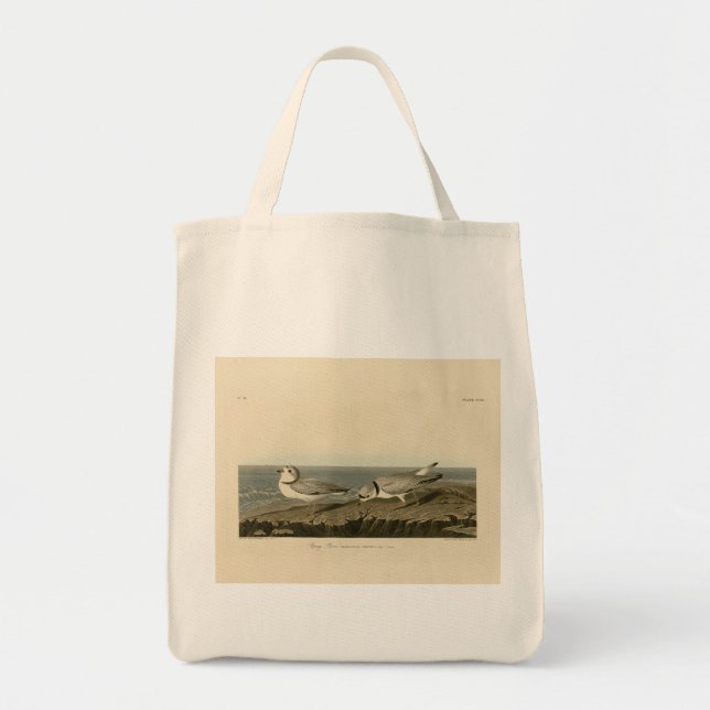 Bolsa Tote Piping Plover from Audubon's Birds of America (Frente)
