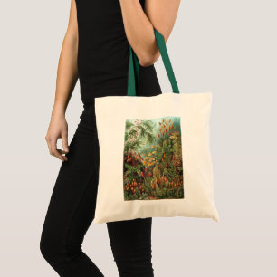 Bolsa Tote Plantas de Musgo Antigo por Ernst Haeckel, Muscina