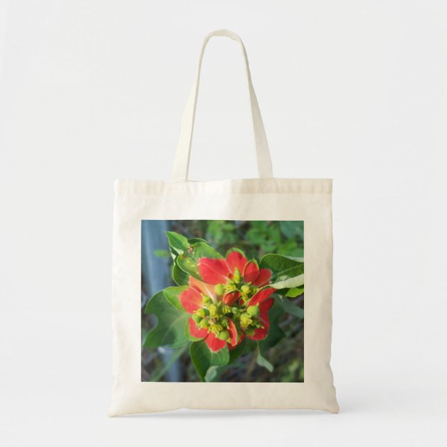 Bolsa Tote poinsétia selvagem (Frente)