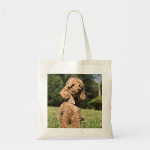 Bolsa Tote Poodle Apricot Personalizável