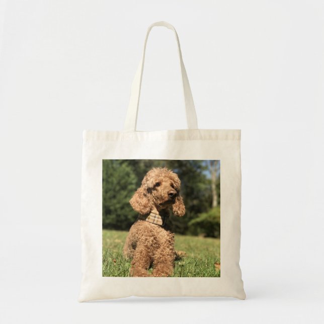 Bolsa Tote Poodle Apricot Personalizável (Frente)