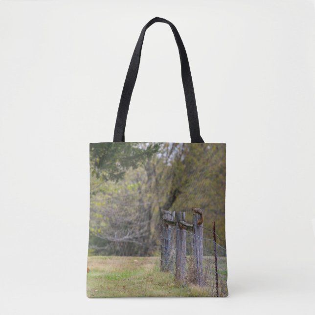 Bolsa Tote Pose da Cerca de Esquilo (Frente)