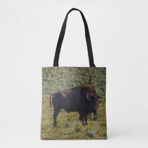 Bolsa Tote Quem você está olhando