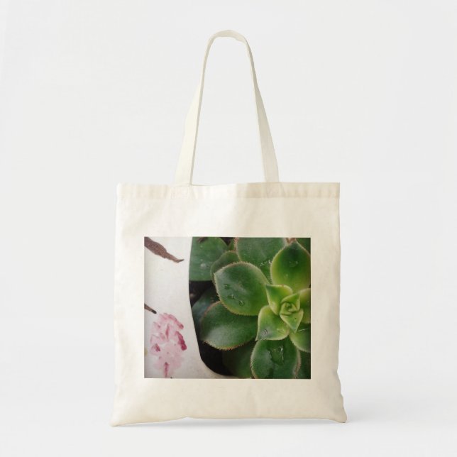 Bolsa Tote Rainy Day Succulents (Frente)