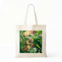 Ramos de carvalho com bolota