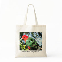 Rei australiano Papagaio