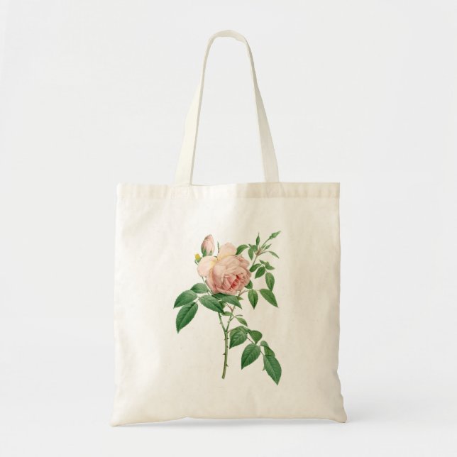 Bolsa Tote Rosa indica fragrans - ilustração botânica (Frente)