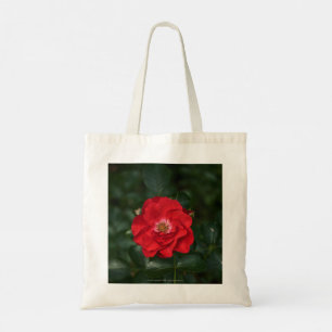 Bolsa Tote Rosa vermelha P6568