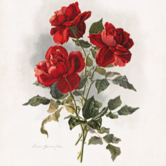 Bolsa Tote Rosa vermelha, Rosas românticas.