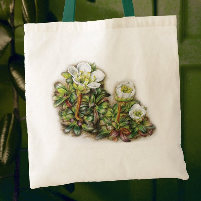 Bolsa Tote Saco de arte da flor da Diapensia lapponica (Criador carregado)
