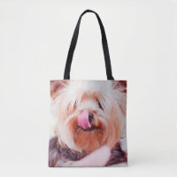 Saco de Cães Bons