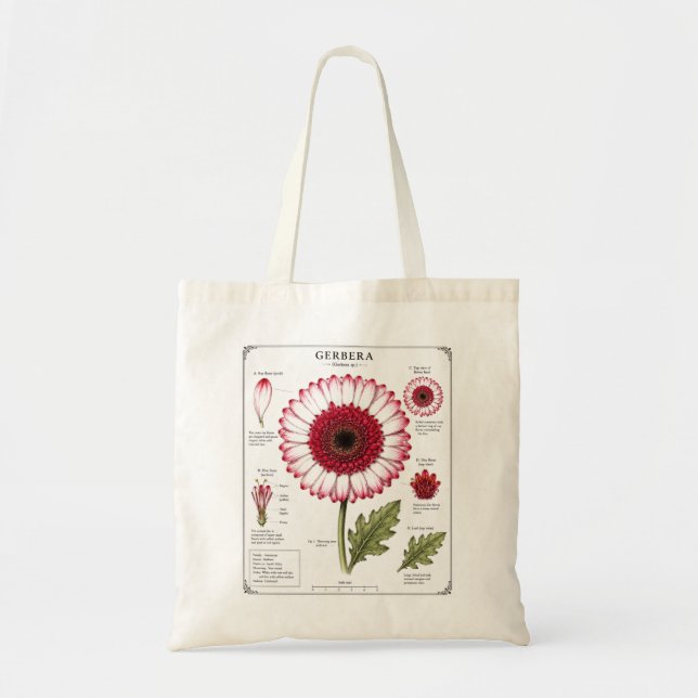 Bolsa Tote Saco de mão com diagrama de anatomia floral (Frente)