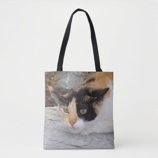 Bolsa Tote Saco de Toque de Gato Focado (Frente)