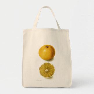 Bolsa Tote Saco de Toranja Fresco de Vintage