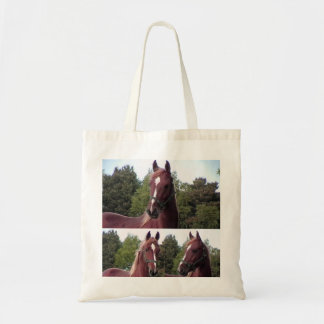 Bolsa Tote Saco de Tote de Cavalo