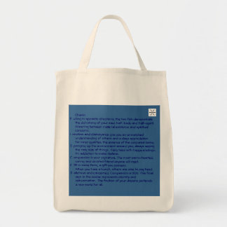 Bolsa Tote saco do chanin