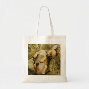 Bolsa Tote Sacola bonito da chihuahua do sono