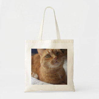 Bolsa Tote Sacola do gato do gengibre