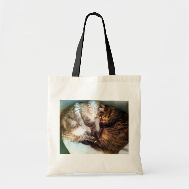 Bolsa Tote Sacola dos gatos do sono (Frente)