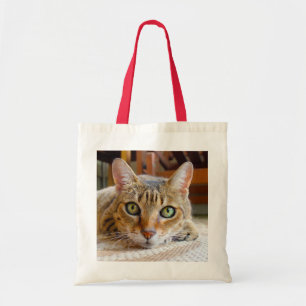 Bolsa Tote Sacos de toalha de gato