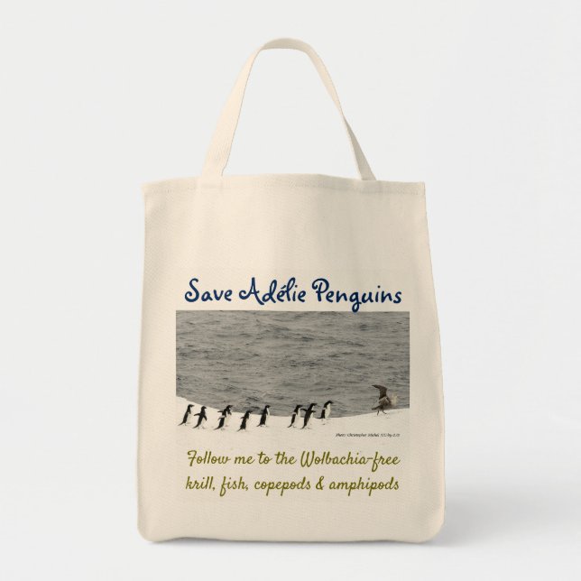 Bolsa Tote Salvar pinguins de Adélie por RoseWrites (Frente)