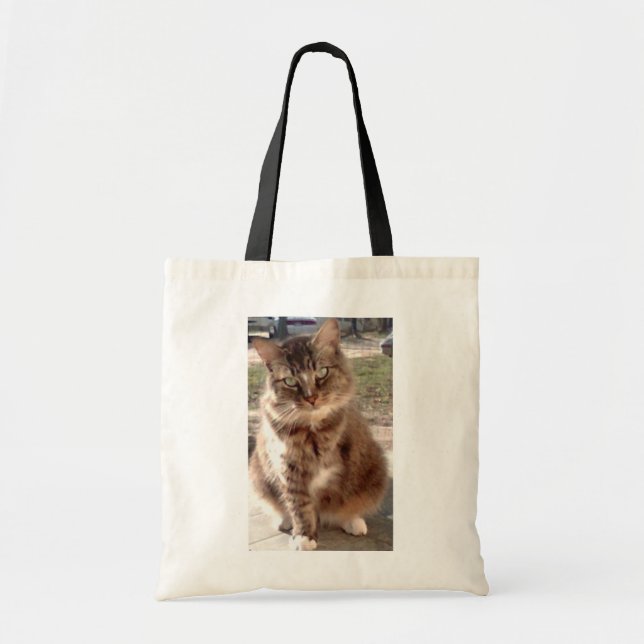 Bolsa Tote Salvar um gato, salvar o planeta (Frente)