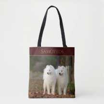 Samoyeds