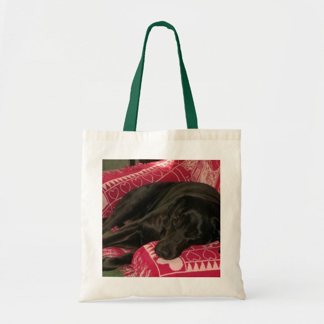 Bolsa Tote Sapo De Cachorro Sonolento (Frente)