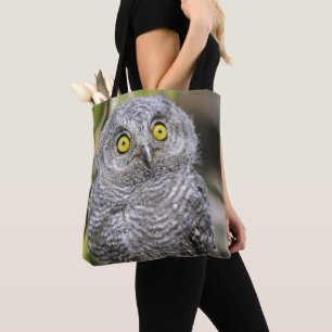 Bolsa Tote Screetch-Coruja do bebê
